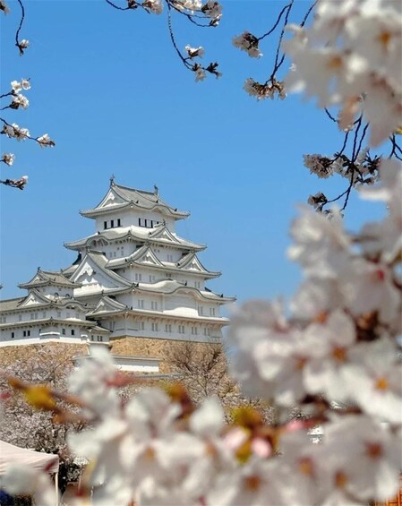 Picture 1 for Activity Osaka: Himeji Castle&Arima Onsen&Mount Maya Trip-small group 2