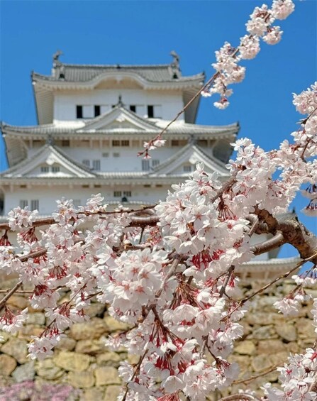 Picture 4 for Activity Osaka: Himeji Castle&Arima Onsen&Mount Maya Trip-small group 3