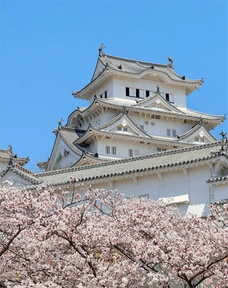 Picture 5 for Activity Osaka: Himeji Castle&Arima Onsen&Mount Maya Trip-small group 4