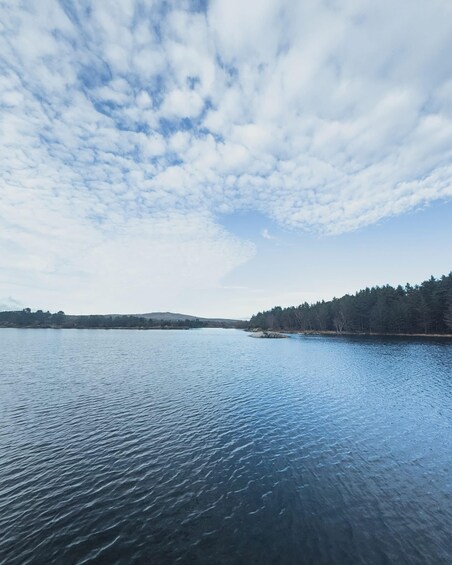 Aquatic Mammal Interpretive Trail: Alvão 1