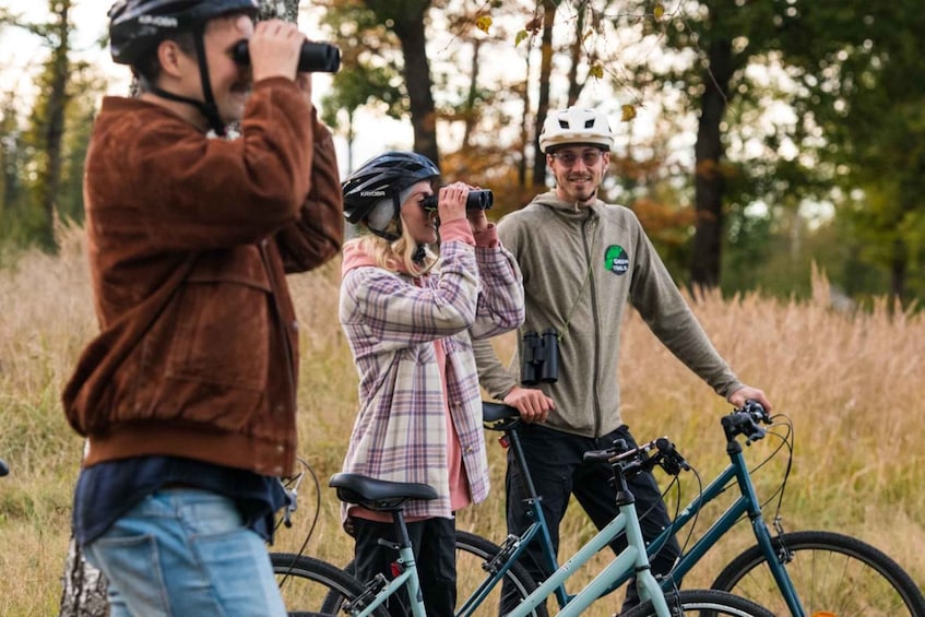 Stockholm: Nature Evening Safari by Bike 1