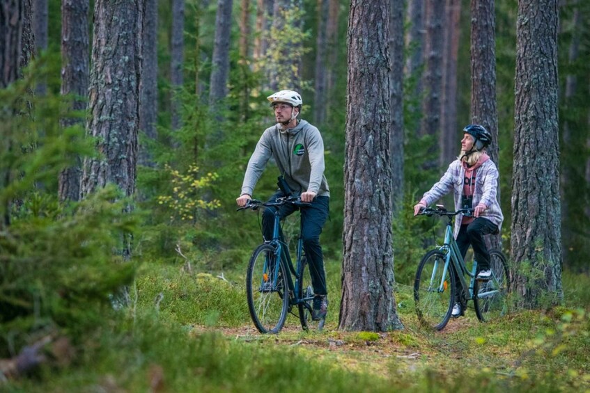 Picture 15 for Activity Stockholm: Nature Evening Safari by Bike 2