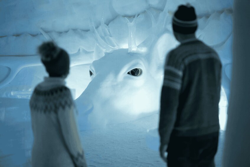 Picture 10 for Activity Kirkenes: Guided Snowhotel Visit with Dinner 2