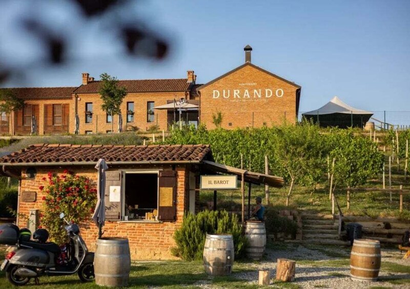 Walk in the Hazelnut Grove and Hazelnut Workshop in Portacomaro, AT 1