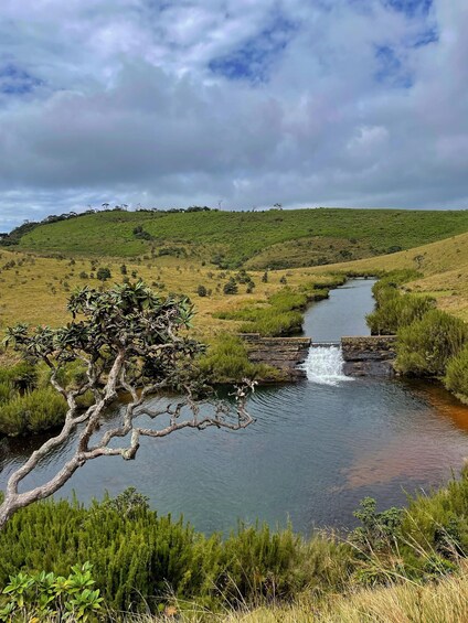 Picture 3 for Activity Nuwara Eliya: Horton Plains Guided Hike with Lunch 4