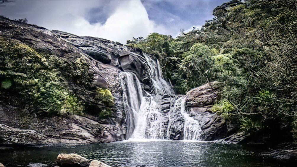 Picture 6 for Activity Nuwara Eliya: Horton Plains Guided Hike with Lunch 3