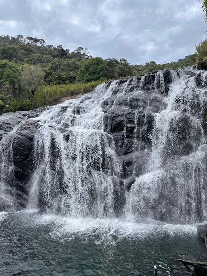 Picture 9 for Activity Nuwara Eliya: Horton Plains Guided Hike with Lunch 2