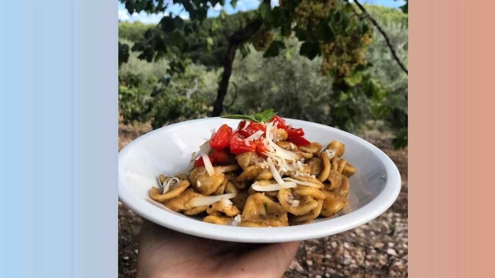 Picture 2 for Activity Vieste: Fresh Pasta Workshop on a Farm with Food Tasting 3