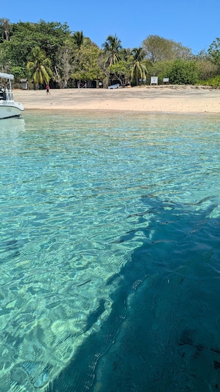 A clear turquoise sea with a sandy beach and palm trees in the background. 3