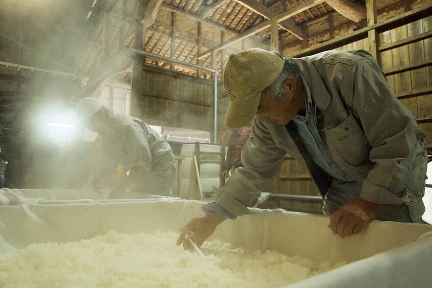 Picture 2 for Activity Oita : Komatsu Shuzojo Sake Brewery Tour and Tasting 3