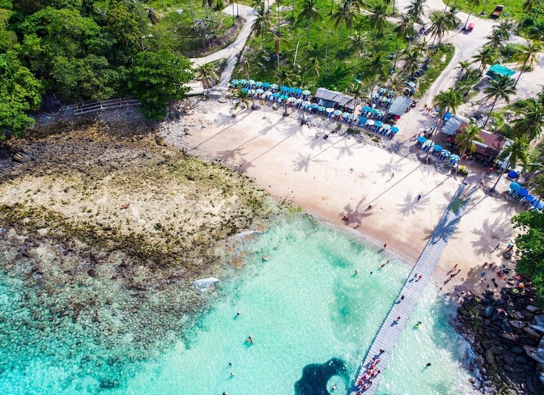 A beach with clear turquoise water, a rocky shoreline, palm trees, and a pier with people walking. 5