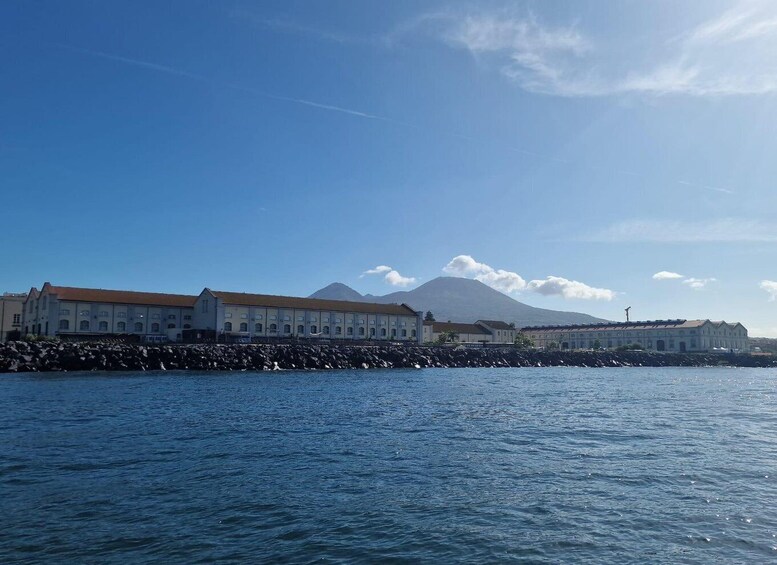 Picture 6 for Activity Gulf of Naples: Fishing Boat Tour with Swimming and Food Tasting 2