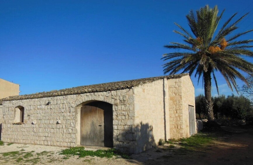 Picture 10 for Activity Winery Tour and Wine & Local Food Tasting near Ragusa 2