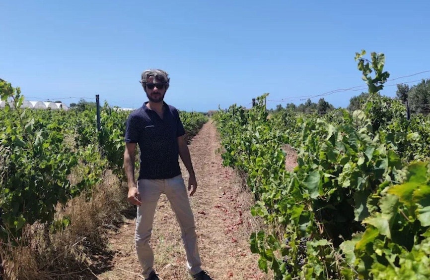 Winery Tour and Wine & Local Food Tasting near Ragusa 1