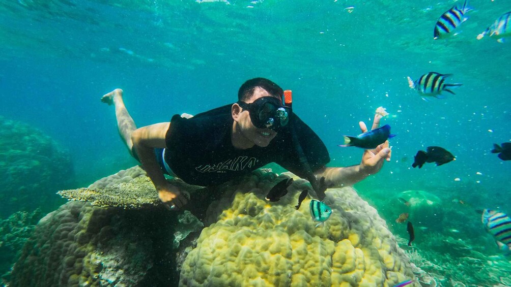 Picture 2 for Activity From Jakarta: Pulau Pari 2-Day Island Getaway 3