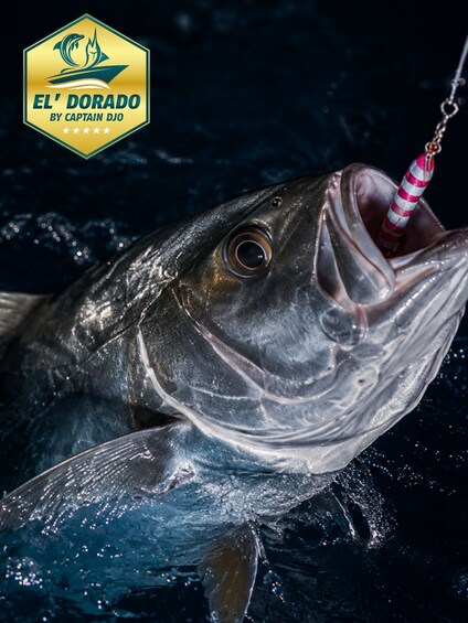 Picture 6 for Activity Martinique: Night Fishing Under the Stars 4