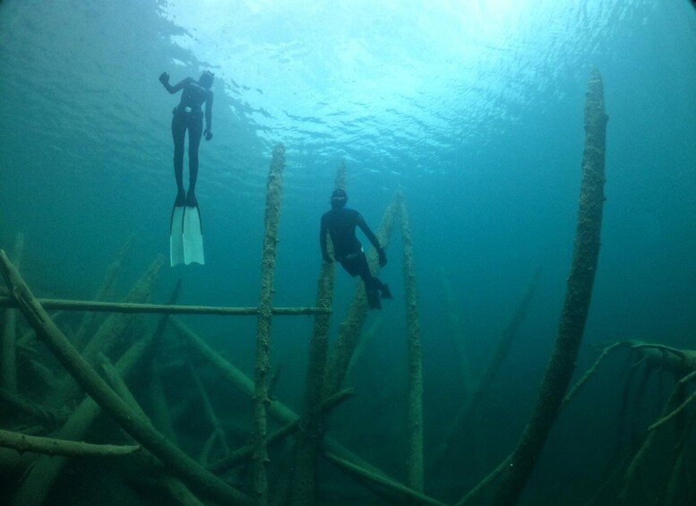 Lake Achen, Tyrol: Beginner's Freediving Introductory Course – Learn Apnea Diving 1