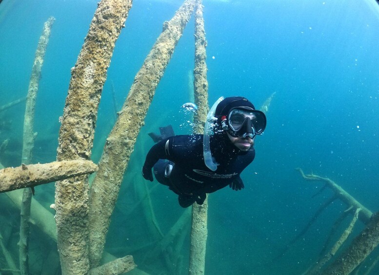 Picture 3 for Activity Lake Achen, Tyrol: Beginner's Freediving Introductory Course – Learn Apnea Diving 3