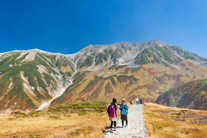 Picture 10 for Activity From Kanazawa/Nagano: Tateyama Kurobe Snow Wall Day Tour 2