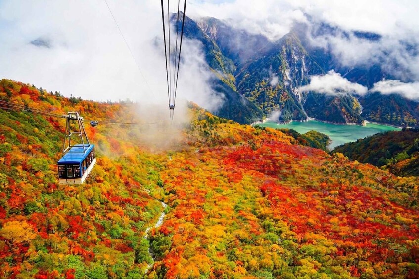 Picture 15 for Activity From Kanazawa/Nagano: Tateyama Kurobe Snow Wall Day Tour 3