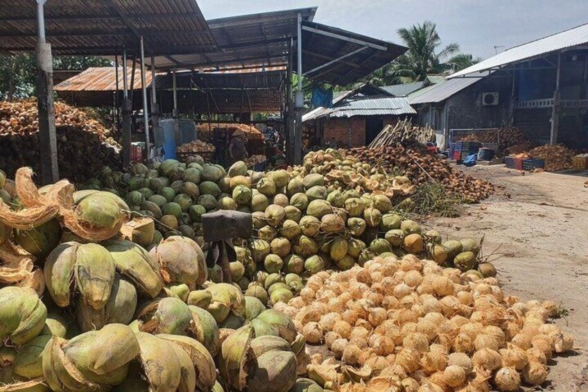 Private Ben Tre Mekong Cultural and Craft Village Tour 4