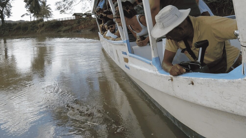 Picture 13 for Activity Tropical Adventure in Puntarenas: Crocodiles, Monkeys, and Much More 4