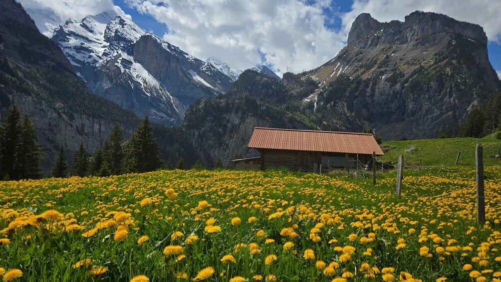 Picture 4 for Activity Kandersteg: Tour with a Hiking Guide to the Hidden Arvenseeli 3