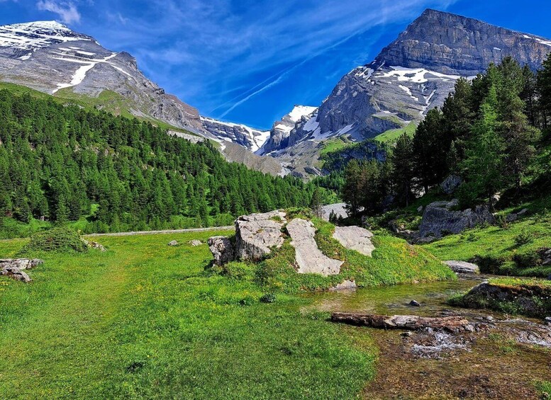 Picture 2 for Activity Kandersteg: Tour with a Hiking Guide to the Hidden Arvenseeli 2