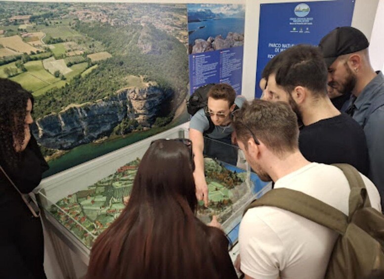 Picture 5 for Activity Local wine and cheese tasting and excursion on Lake Garda 5