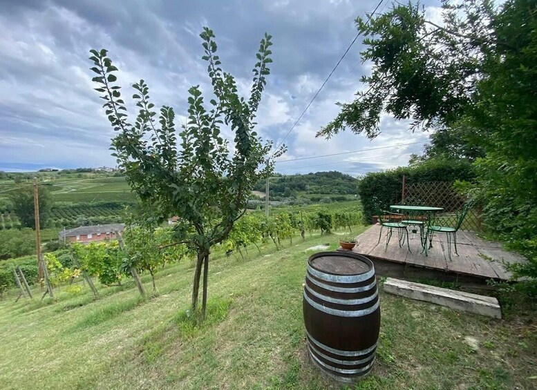 Picture 5 for Activity Monferrato: e-bike tour through the vineyards with Piedmontese wine tasting 4