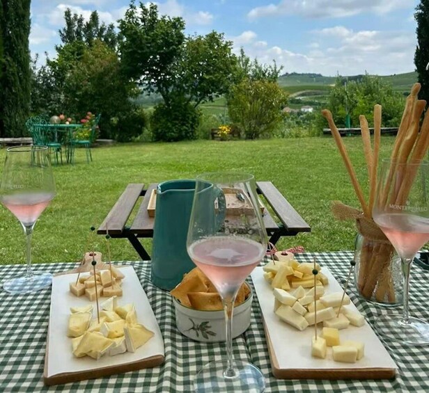 Picture 4 for Activity Monferrato: e-bike tour through the vineyards with Piedmontese wine tasting 2