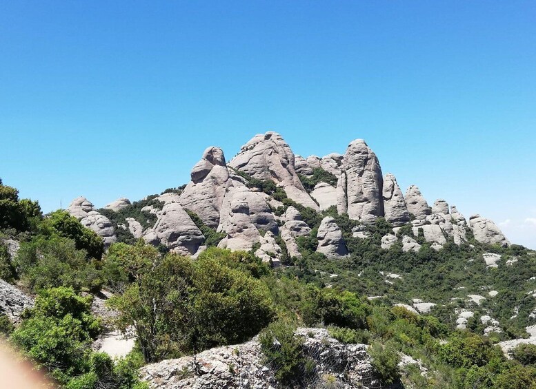 Picture 4 for Activity Inclusive Montserrat: Wheelchair-Friendly Private Tour 5