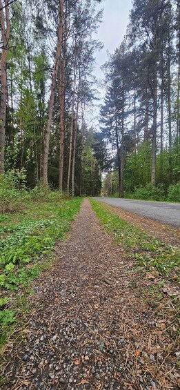 Picture 15 for Activity Lillestrøm: Guided Running Tour 3