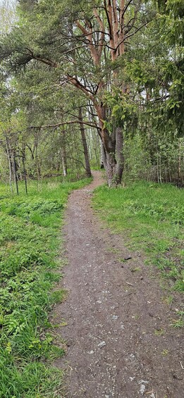 Picture 11 for Activity Lillestrøm: Guided Running Tour 2