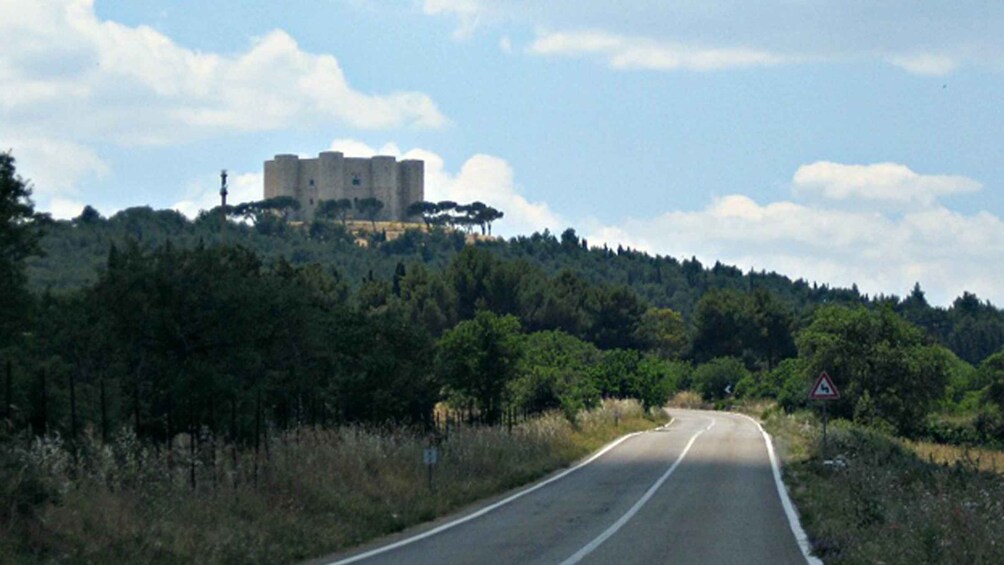 A winding road with a castle on a hill, surrounded by dense forest. 5