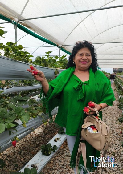 Picture 6 for Activity Cochabamba Valle Alto 2-Day Food Tour 4
