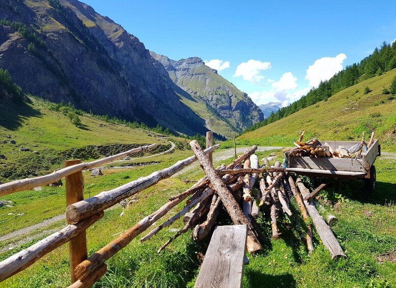 A wooden fence in a mountainous landscape with a cart loaded with logs. 2