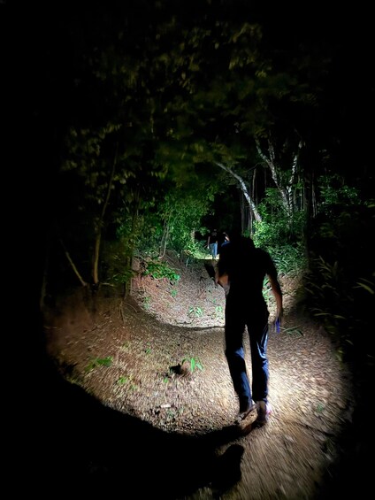 A person walking on a forest path at night. 1