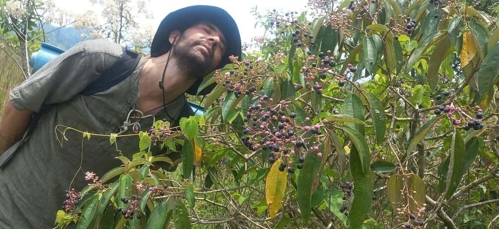 Chiapas: an inner journey in a sustainable food forest 1