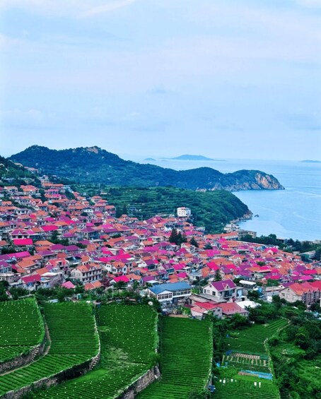 Qingdao: Mountain Laoshan Small-Group/Private Tour 1