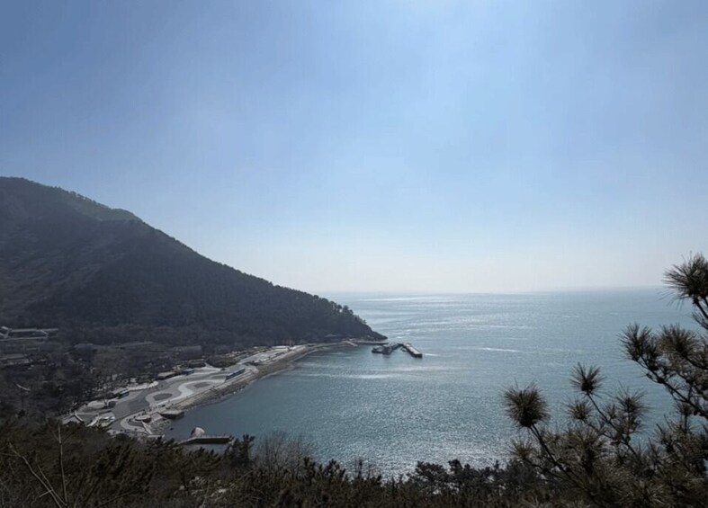 Picture 4 for Activity Qingdao: Mountain Laoshan Small-Group/Private Tour 2