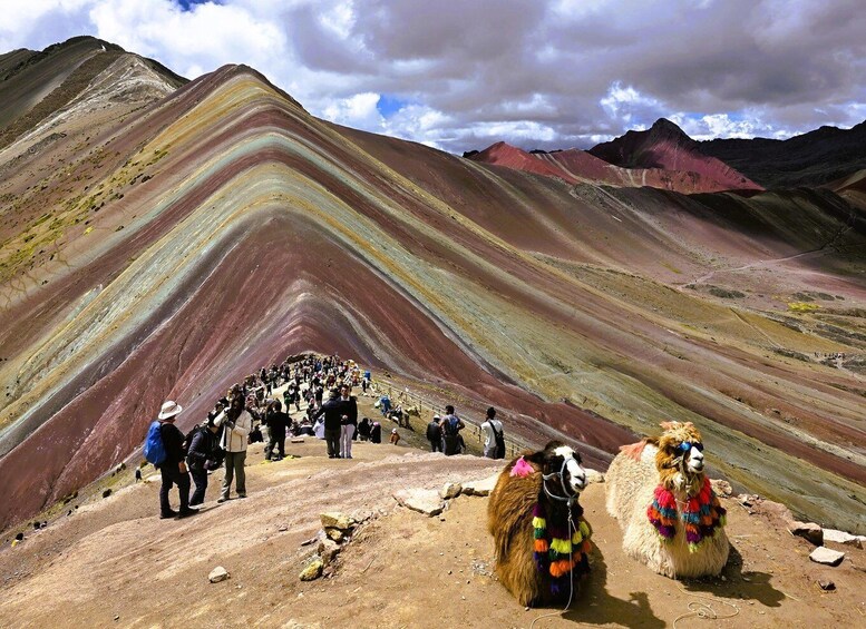 En färgstark geologisk formation med en stor grupp människor och lamor. 5