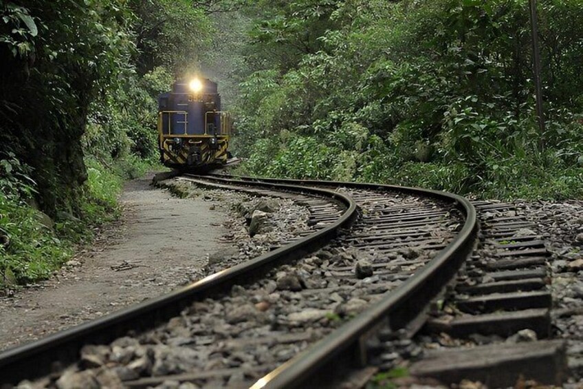 A train on a curved railway track surrounded by dense greenery. 2