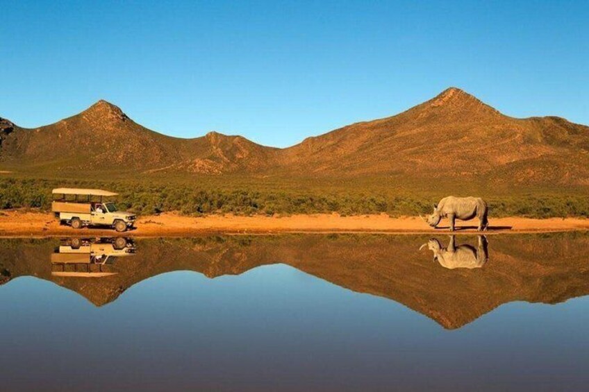 Sip + Safari Adventure: Aquila Game Drive & Spice Route Winelands 3
