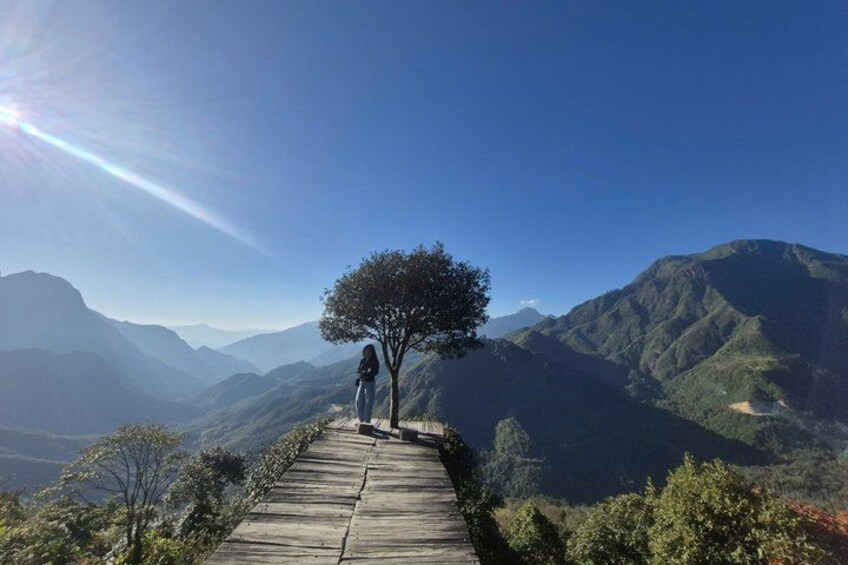 A person standing on a wooden platform with a tree, overlooking a mountainous landscape. 1