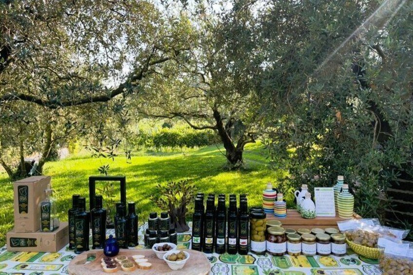 Guided Evo Oil Tasting on Lake Garda 5