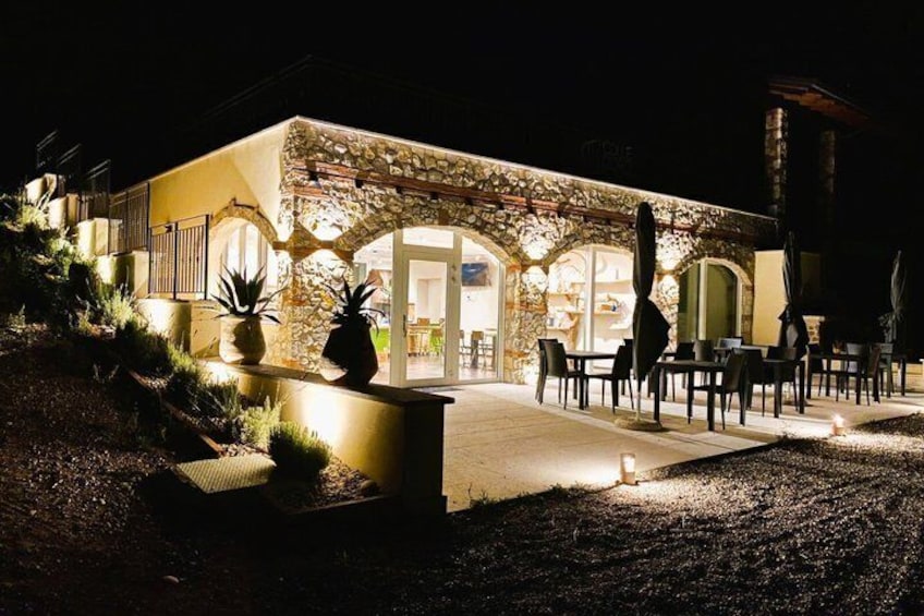 Tasting Oil and Cicchetti among the Olive trees of Garda 1