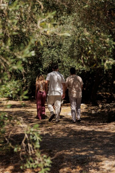 Picture 2 for Activity Corfu: Guided Olive Groves Tour with Olive Oil Tasting 4