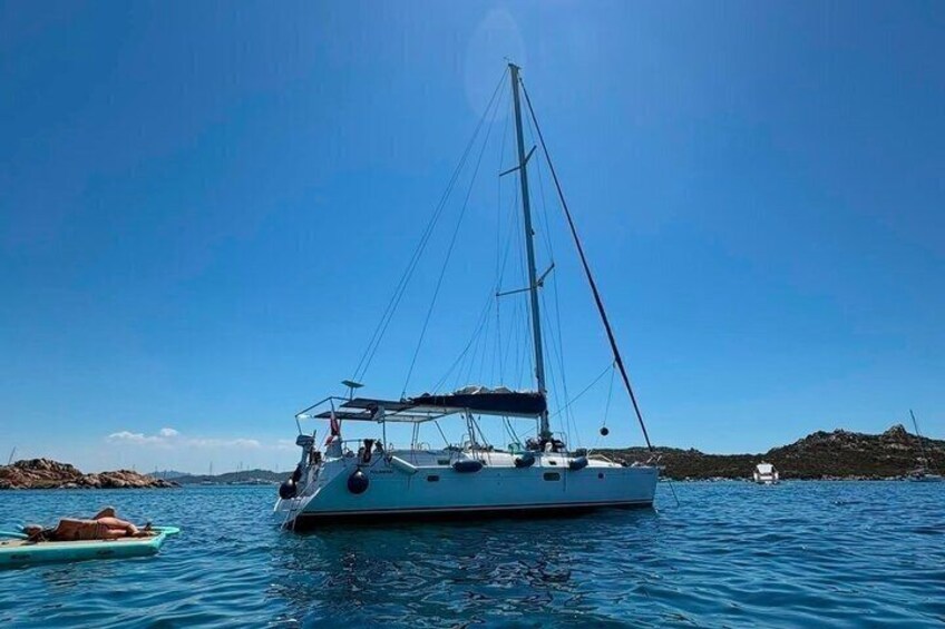 Day Sailing Cruise to Tavolara with Lunch and Dolphin Watching 1