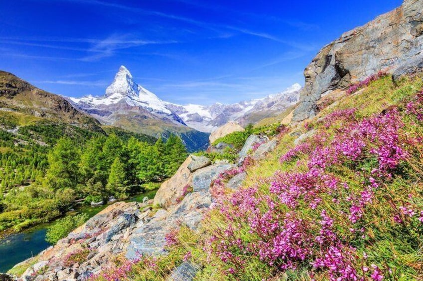 Best of Switzerland - 5 Day Private Minivan Tour from Zurich 5